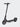 Segway F2 Electric Scooter