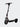 Segway F3 Electric Scooter